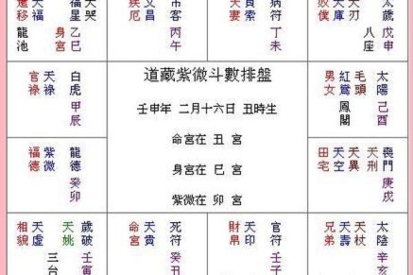 2025年2月28日丑时女命紫微斗数全解盘