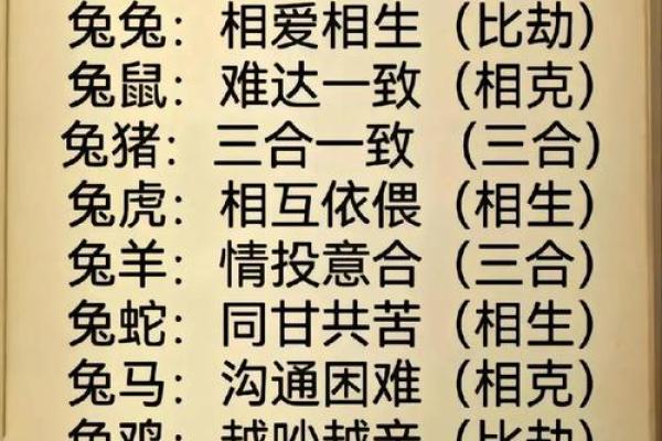 属兔人今天的运气和财运_属兔人今日运势解析财运与运气全揭秘