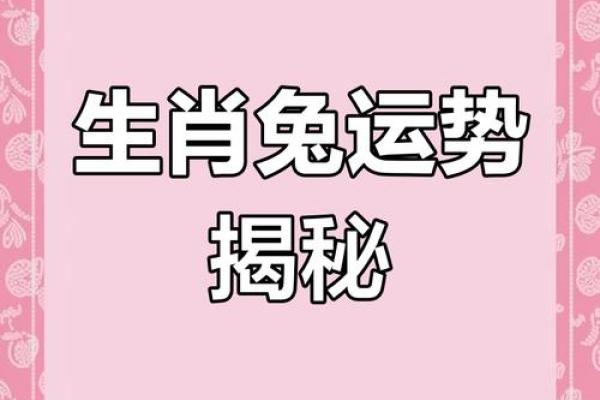 属兔人今天的运气和财运_属兔人今日运势解析财运与运气全揭秘
