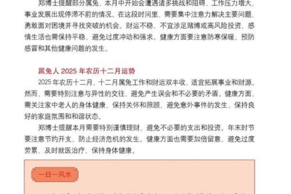 2025年属兔人 2025年属兔人运势解析事业财运感情全攻略 2025年属兔人 2025年属兔人运势解析事业财运感情全攻略