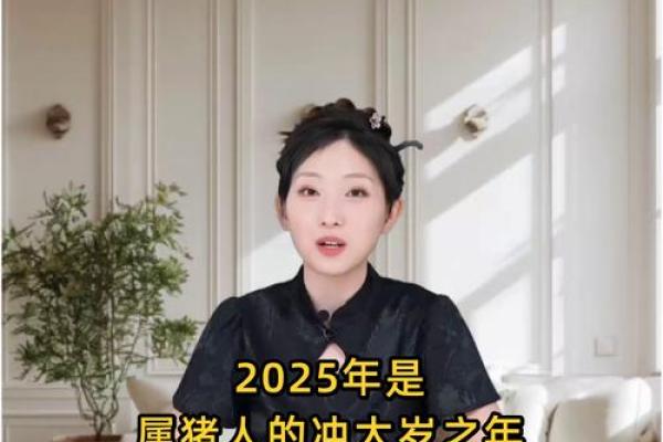 2025年属猪人运势1983年_2025年猪的运势