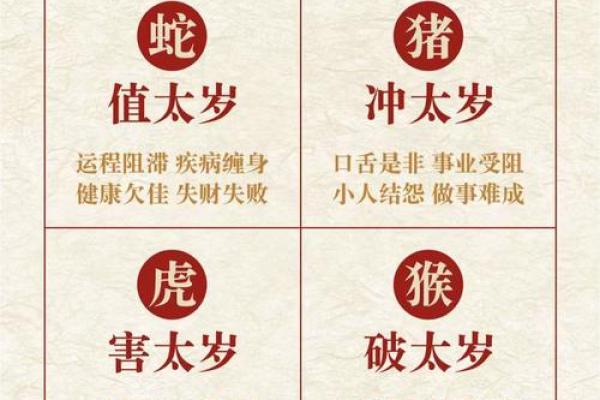 2025年属猪人年龄详解几岁运势如何