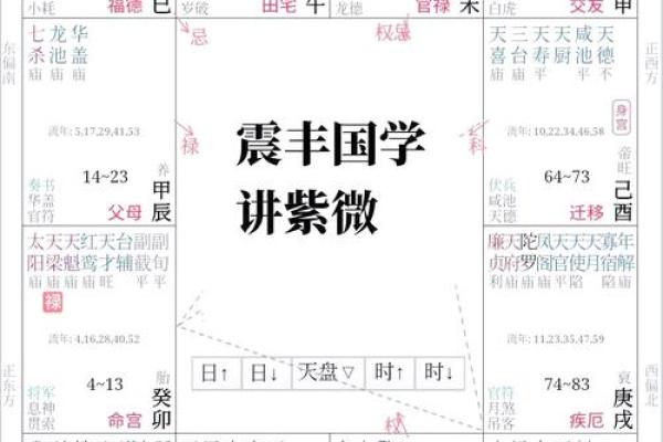2025年4月29日申时女命紫微斗数全解盘