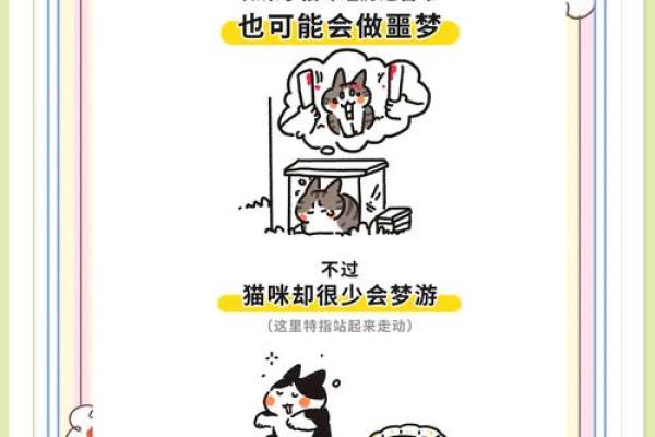 梦见小猫是什么预兆 女性