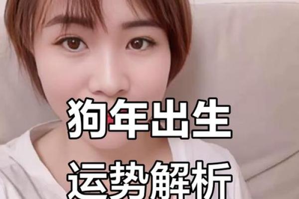 2025属狗人的运势_2025年属狗人运势详解财运事业感情全解析