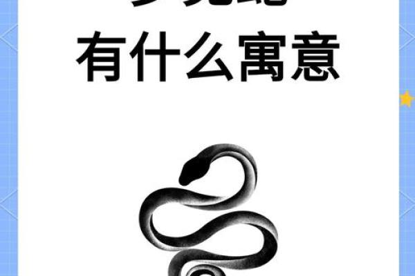 梦见满屋子都是蛇