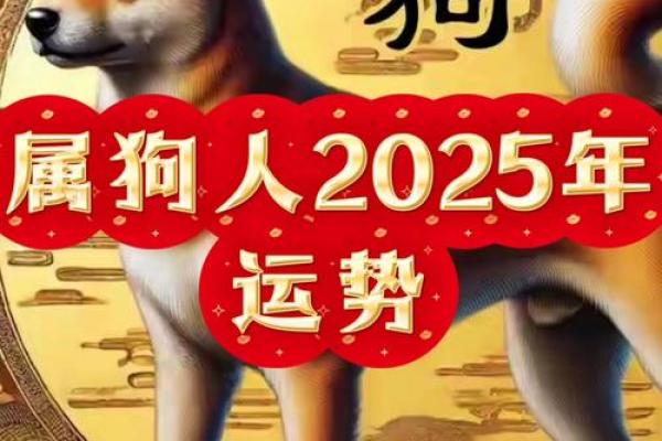 2025年属狗的年龄_2025年属狗的多少岁