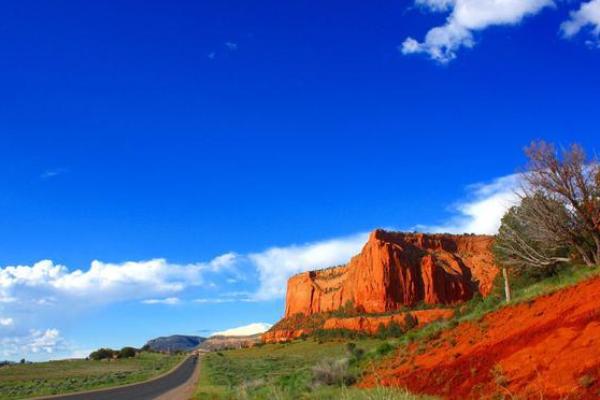 临危不惧打一个正确生肖