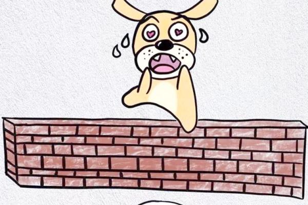 兔死狗烹打一个生肖(兔死狗烹打一最佳答案)