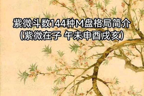 2025年4月18日丑时男命紫微斗数全解盘