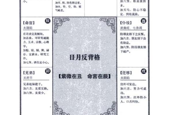 2025年4月21日申时男命紫微斗数全解盘