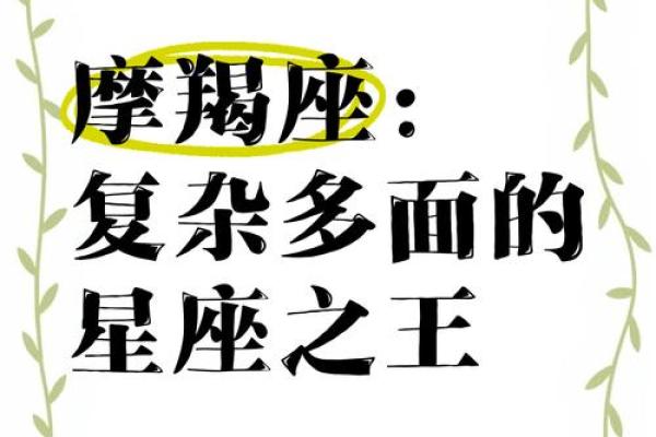 摩羯座女生适合什么星座男生_十二星座