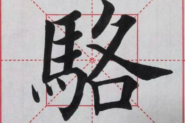 骆姓男孩名字大全-骆姓男孩起名字大全-骆姓名字大全姓名 骆姓男孩名字大全-骆姓男孩起名字大全-骆姓名字大全姓名