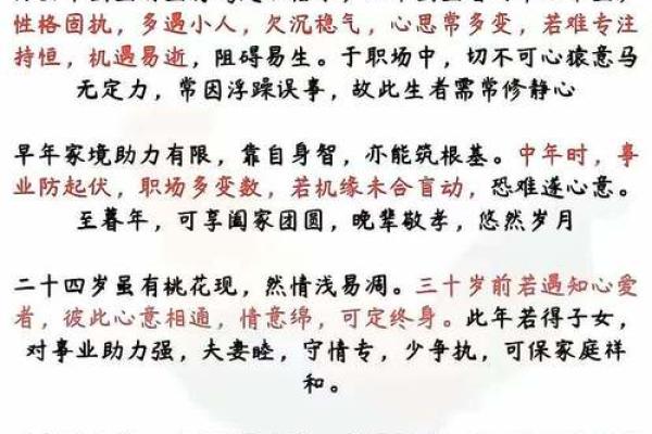 半夜出生的属鸡男孩如何起名字姓名