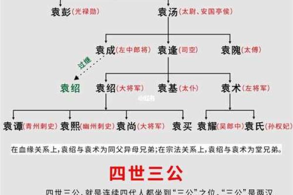 姓名研究方法和流派-姓名学-姓名分析姓名 姓名研究方法和流派-姓名学-姓名分析姓名