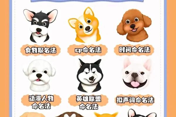 2018年生肖狗宝宝如何取名?狗宝宝取名有何禁忌?-华易网姓名 2018年生肖狗宝宝如何取名?狗宝宝取名有何禁忌?-华易网姓名