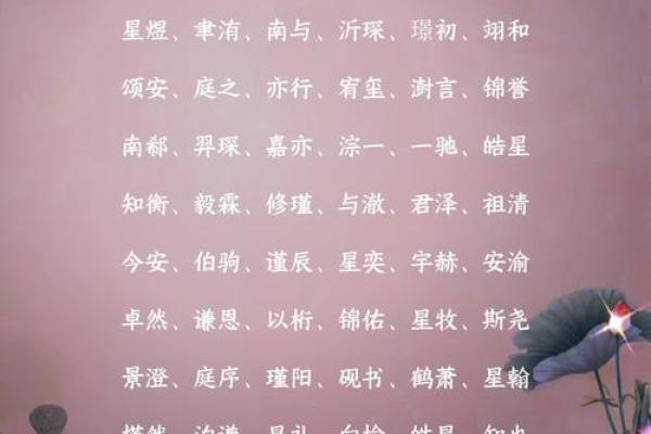 属龙亥时出生的男孩起什么名，应该用什么字姓名