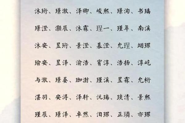 王姓男孩名字大全-王姓男孩起名字大全-王姓名字大全姓名